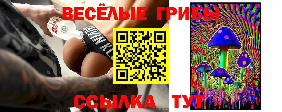 Галлюциногенные грибы ЛСД Фрязино