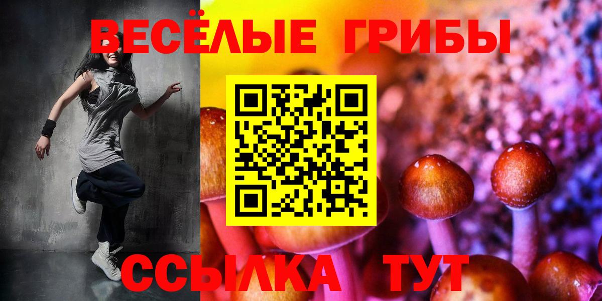 Фрязино  Галлюциногенные грибы Cubensis  Вход с VPN 