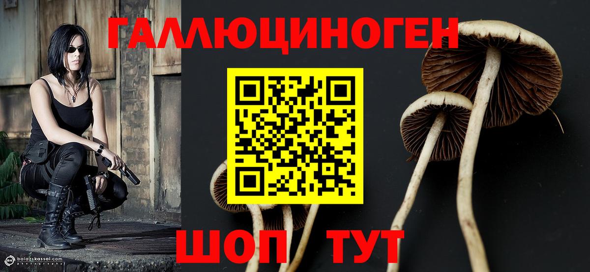 Гашиш  MDMA  Фрязино  Cocaine  Меф  Каннабис  Вход с VPN  Меф  